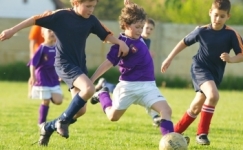K�priport a KTE U8-r�l