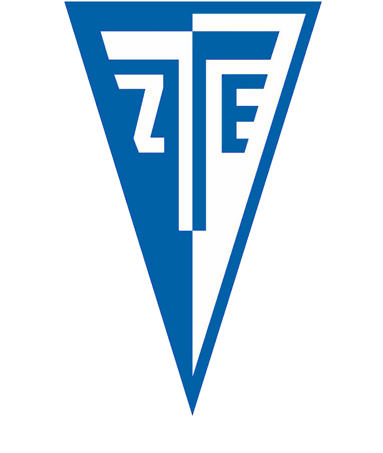 Hazai: <p>Zalaegerszegi TE</p>